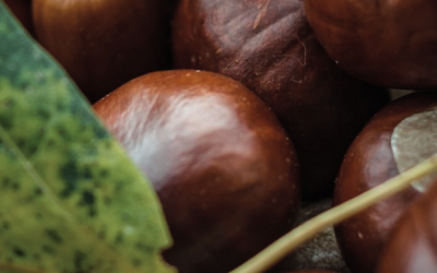 Are You Stress Eating?