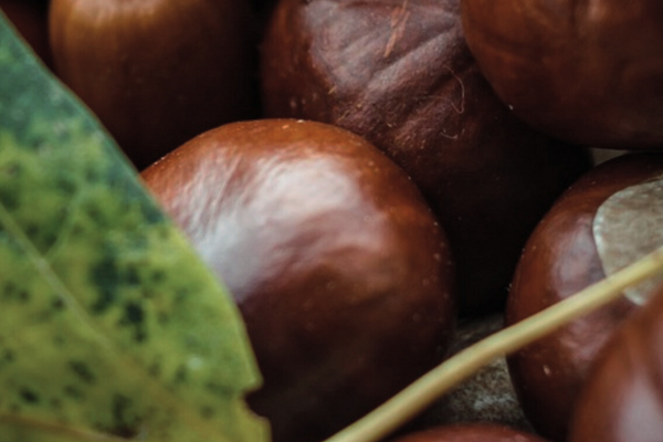 Are You Stress Eating?