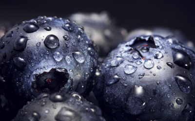 Amazing Blueberries