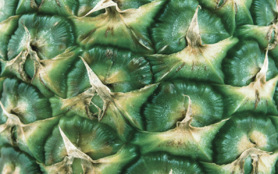 How To Practice Gentle Nutrition In Intuitive Eating